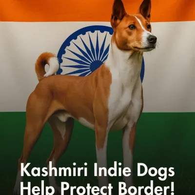 We share news that matters. This story about Kashmiri Indie dogs helping protect the Indian border is a powerful testament to the value and capability of our native breeds.