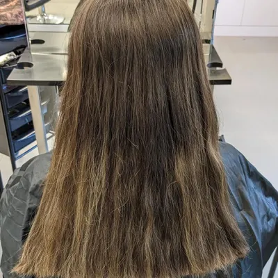 Before the transformation. This is our starting point: natural, untreated hair, ready for a beautiful Tobacco Brown and Irish Coffee-inspired color.