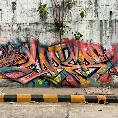 This is what I call 'rang birangi' or super colorful. A wildstyle piece on a city wall where the letters are twisted and woven together, with a tree growing right through the middle of it.