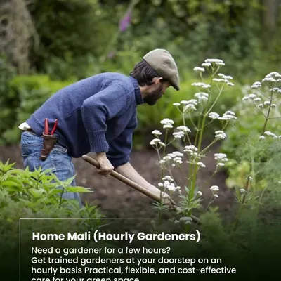 Need a gardener for just a few hours? Our Home Mali service provides trained technicians at your doorstep for flexible, practical, and cost-effective care for your green space.