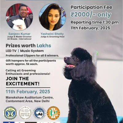 This poster for our 'Salon Freestyle' grooming competition details the categories for beginners and professionals. As a judge, I look for skill, creativity, and a gentle hand, qualities we emphasize in our training programs.