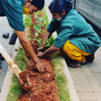 Our dedicated team members carefully planting new saplings in a garden bed. We believe that great employees are the foundation of great results.