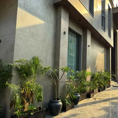 Who doesn't love a lush driveway? We lined this modern home's walkway with a combination of black planter boxes and large pots, filled with palms and Champa trees.