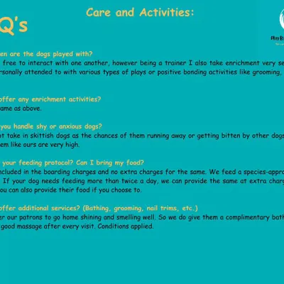 Frequently asked questions about care and activities. I cover enrichment, feeding protocols, handling of anxious dogs, and complimentary services like bathing and grooming.