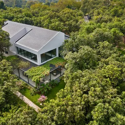 An aerial view captures the Mango Orchard House nestled within its dense, green surroundings. The design carefully navigates the existing trees, with a green roof over the terrace further blending the structure into the landscape.