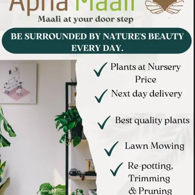 This is a quick look at all the ways I can help your green space flourish. From providing the best quality plants at nursery prices to essential services like lawn mowing, re-potting, and trimming, I bring complete garden care right to your home. My goal is to make it easy for you to be surrounded by the beauty of nature every day.