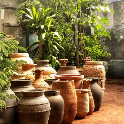 We are so proud of our gorgeous collection of terracotta pots from our brand, Terrapotta. From small tabletop sizes to massive urns, we have a pot for every plant and every style.