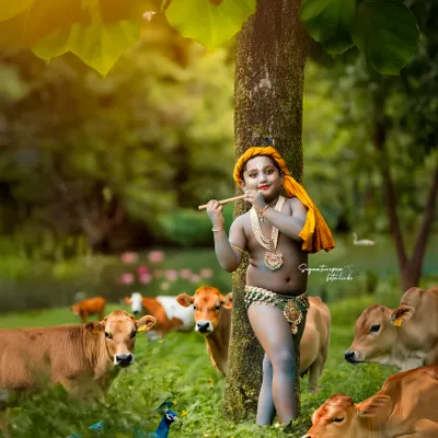 A serene portrait of little Krishna amidst his beloved cows and peacocks. We scout beautiful outdoor locations in and around Bangalore to create authentic, picturesque scenes for our mythological photoshoots.