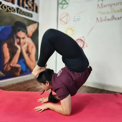 A student demonstrates incredible strength and flexibility in Vrischikasana (Scorpion Pose) on their forearms. This pose is a pinnacle of our advanced asana training, combining an inversion with a deep backbend.