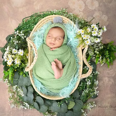 A perfect little bundle of peace. This newborn is swaddled in a soft green wrap, sleeping soundly in a basket surrounded by fresh greenery and daisies.