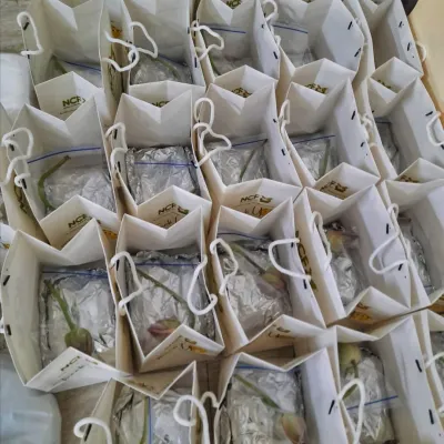 A large order of 'Khechri' packed in our NCF branded paper bags, ready for delivery. I make sure the packaging is convenient and presentable.