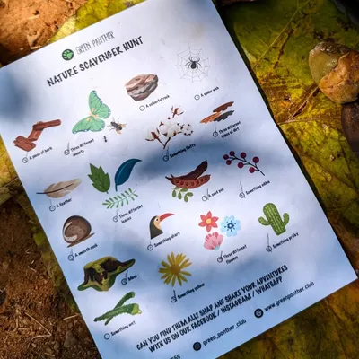 Our original Nature Scavenger Hunt sheet! We created this five years ago to turn walks into wide-eyed wonder, and it's been a favorite activity ever since.