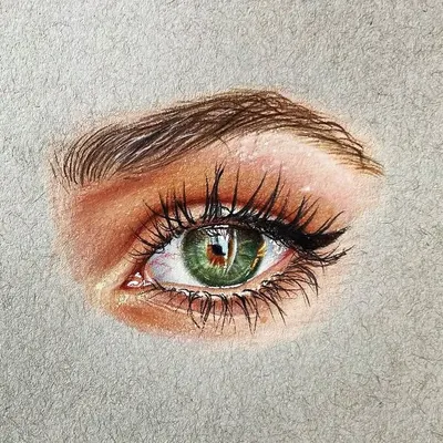 A hyper-realistic drawing of a green eye, created with Prismacolor pencils on toned paper. I focused on capturing the reflection in the pupil and the fine texture of the eyelashes.