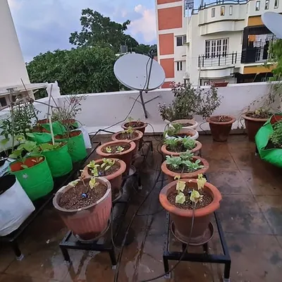 A rooftop garden in Bengaluru featuring our single-tier metal stands. The arrangement allows for easy access to a variety of plants, including vegetables in grow bags and terracotta pots.
