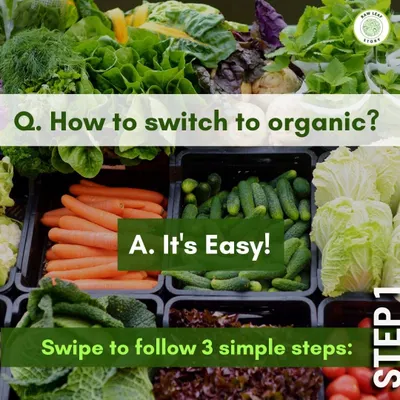 Wondering how to start incorporating more organic food into your life or business? We make it easy by providing a consistent, reliable supply of fresh produce that you can trust.