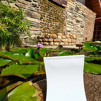 Your blank page awaits. A BWW notepad sits by the lily pond at Gudlu Resort, ready for new ideas. We provide the inspiring setting and the tools; you bring the stories.