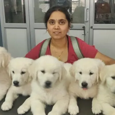 Three years ago, this litter of puppies was born and they inspired me to create my enrichment center. Watching them grow taught me so much about the importance of early enrichment and patience in raising confident dogs.