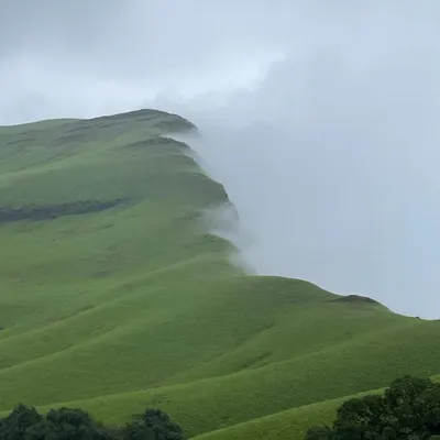 The iconic view from Netravati Peak, where the edge of the mountain cuts through a thick blanket of clouds. This is the reward for a challenging Western Ghats climb.