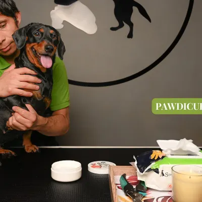 Our pawdicure service is essential for your pet's comfort. Here, we are getting ready to provide a deep moisturization treatment for healthy, soft paw pads.