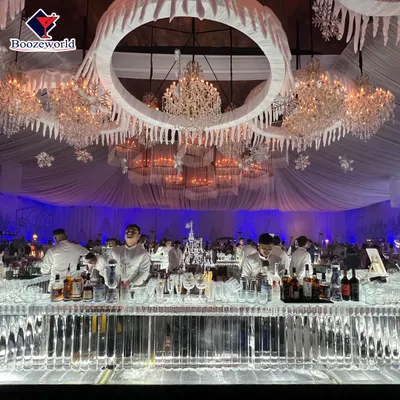 A full view of our magnificent ice bar, custom-built for a luxury wedding. The setup included crystal chandeliers and icicle-themed decor to create a truly magical winter fantasy environment for the guests.