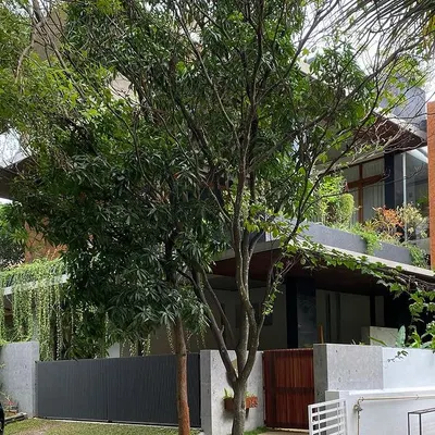 The "House of Greens" is nestled in a quiet, leafy neighborhood, designed to blend seamlessly with the surrounding trees and become a part of the landscape.