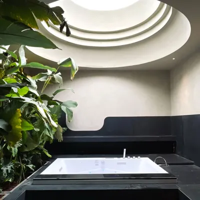 This contemporary bath space is designed around a central circular skylight, which washes the room in soft daylight. The whirlpool tub is positioned directly beneath, creating a focal point for luxury and tranquility, surrounded by lush indoor plants.