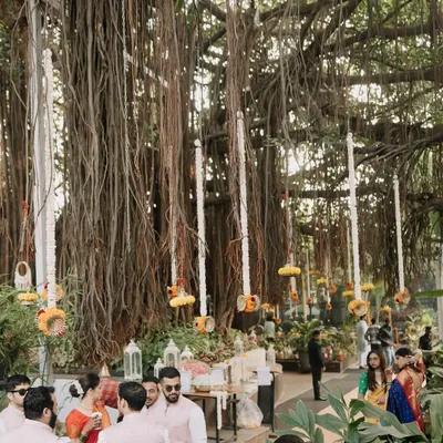 A breathtaking view of an event set under a massive banyan tree. I used the hanging aerial roots as a natural part of the decor, adorning them with long strings of white flowers for a magical effect.