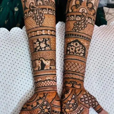 A stunning example of full-coverage bridal mehendi. This design features bands of intricate patterns, including elephants, peacocks, and floral blocks, extending from the fingertips to the elbow for a truly regal look.