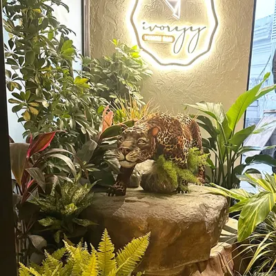 To make the entrance of Ivoryy in Connaught Place truly stand out, we created this dense, jungle-like installation. The combination of diverse foliage and a unique leopard sculpture establishes a strong thematic identity from the moment a customer arrives.