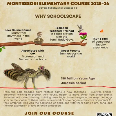 An overview of our Montessori Elementary Course, highlighting our extensive experience, global faculty, and flexible online format. This program is for anyone committed to supporting children aged 6 to 12.