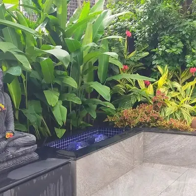This is a recently completed tropical garden landscaping project. We incorporated a tranquil Buddha statue and a small water feature alongside lush foliage like Calathea and flowering bushes to create a complete, sensory garden experience.
