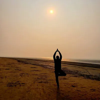 This is Vrikshasana, the Tree Pose, practiced at sunrise. This asana helps us find balance and stability, rooting down into the earth just like a tree. It reminds us that even with the world moving around us, we can find a steady center.