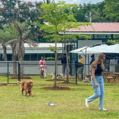 A candid moment of a dog and owner enjoying a walk in our park, with others relaxing at the cafe in the background.