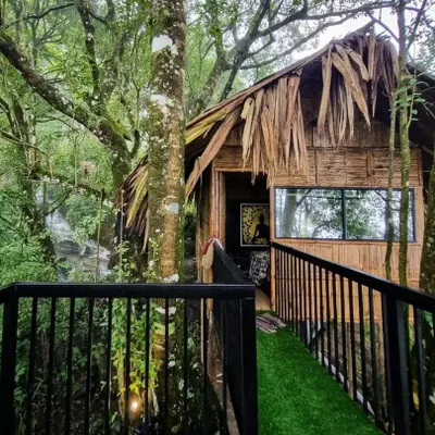Our unique treehouse stay at Vattavada, built right into the forest for an immersive nature experience.