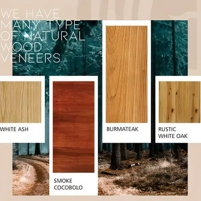 Explore the variety in our natural wood veneer collection, including White Ash, Smoke Cocobolo, our classic Burma Teak, and Rustic White Oak. Each offers a distinct personality for your interiors.