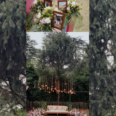 A collage of the beautiful, personalized decor from a Haldi ceremony. The hanging hearts and framed photos of the couple's pets show how every detail can tell a story.