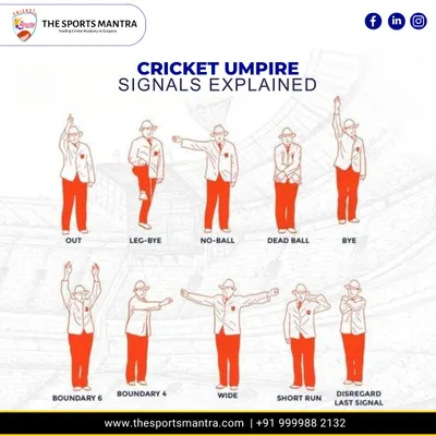 Ever wondered what the umpire's signals mean? This quick guide explains the common hand gestures used on the field, helping you decode the game like an expert.