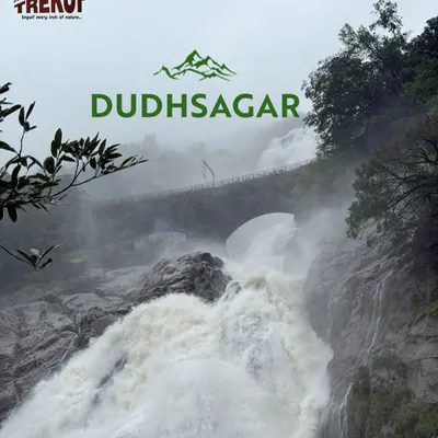The mighty Dudhsagar Falls in its full monsoon glory. Trekking to see this "Sea of Milk" is an unforgettable experience, with the trail itself being a jungle adventure.