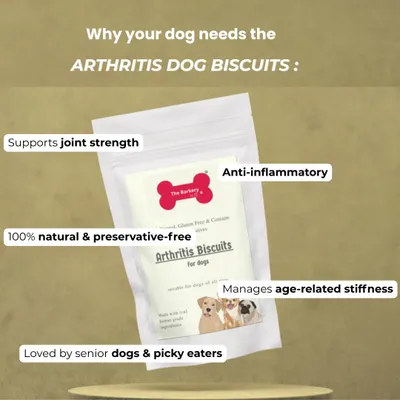 This infographic details why my Arthritis Dog Biscuits are so beneficial. They support joint strength, have anti-inflammatory properties, and help manage age-related stiffness, making them a favorite among senior dogs.