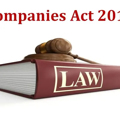 The Companies Act of 2013 is the rulebook for all registered companies in India. I provide expert guidance on corporate law, helping with everything from initial company registration to ongoing director responsibilities and shareholder agreements.