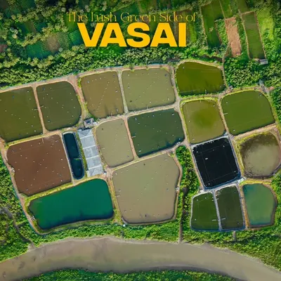A perfect bird's-eye view of the geometric patterns of local farms in Vasai. This type of top-down aerial photography is ideal for land surveys, property showcases, or simply creating a unique artistic perspective of a landscape. It turns an ordinary scene into a compelling abstract image.