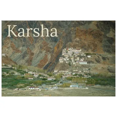 The Karsha Monastery in Zanskar Valley, appearing like a fortress clinging to the mountainside. This shot captures the scale and isolation of this incredible Buddhist gompa.