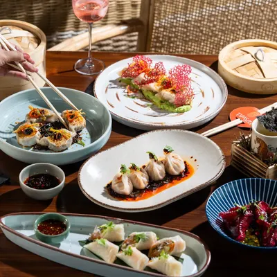 A beautiful spread of modern Asian appetizers. This shot is designed to showcase the artistry and variety of a tasting menu.