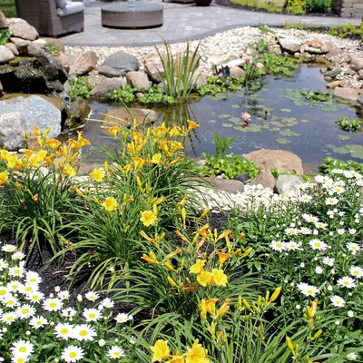 This pond is a great example of how I combine water features with hardscaping and plantings. The small waterfall provides gentle background noise for the patio.