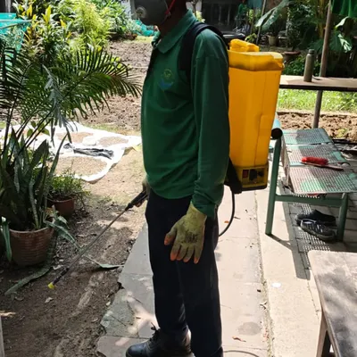 Our maintenance service includes proactive care to keep plants healthy. Here, a team member is treating plants with an eco-friendly solution to ensure they remain pest-free and vibrant.