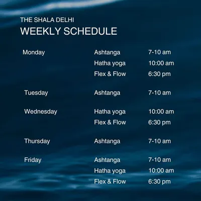 Our weekly schedule at a glance. We offer morning Ashtanga, mid-morning Hatha, and evening Flex & Flow classes to fit your routine.