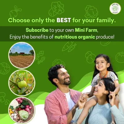 Give your family the unique experience of connecting with their food. By subscribing to a mini farm, you can teach your children where vegetables come from and enjoy the freshest possible produce, grown by you.