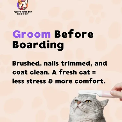 To ensure a comfortable stay, we recommend a pre-boarding groom for cats. A clean coat and trimmed nails help reduce stress and keep your cat feeling fresh and content while you're away.