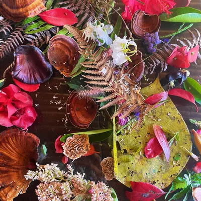 A collection of treasures gathered from a walk in the forest. Colorful leaves, unique mushrooms, and delicate flowers create a beautiful natural mandala, a reminder of the abundance and artistry of nature.
