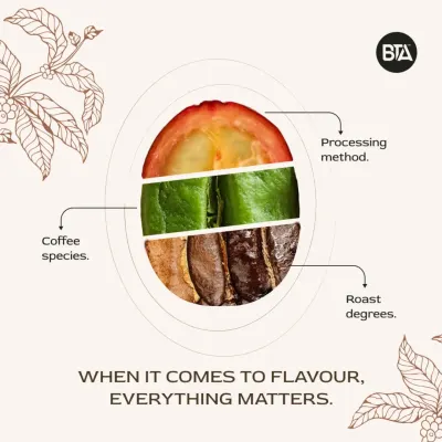 This graphic illustrates how everything matters when it comes to flavor. The coffee species, processing method, and roast degree all play a crucial role in what you taste in the cup.